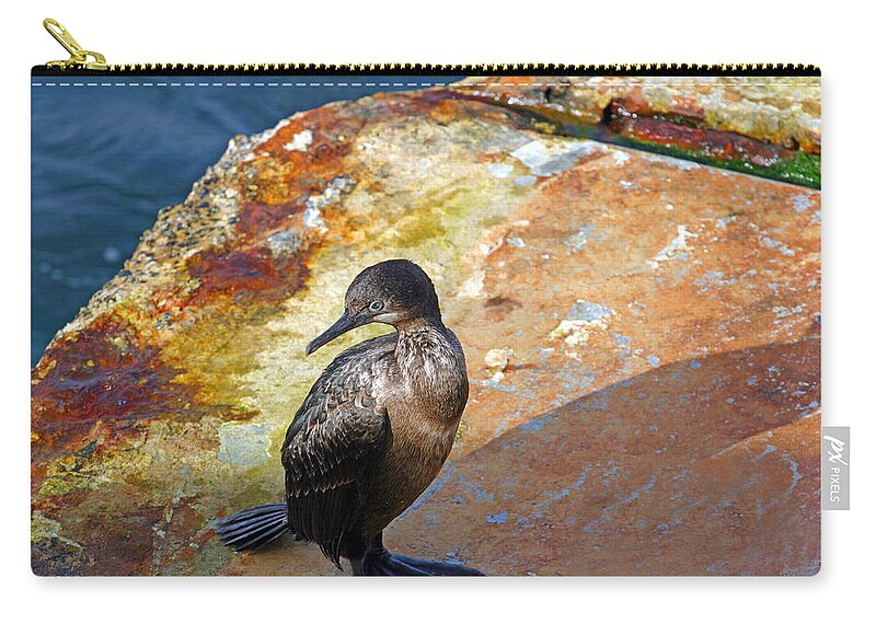 Cormorant Zip Pouch featuring the photograph Double-Crested Cormorant by Anthony Jones