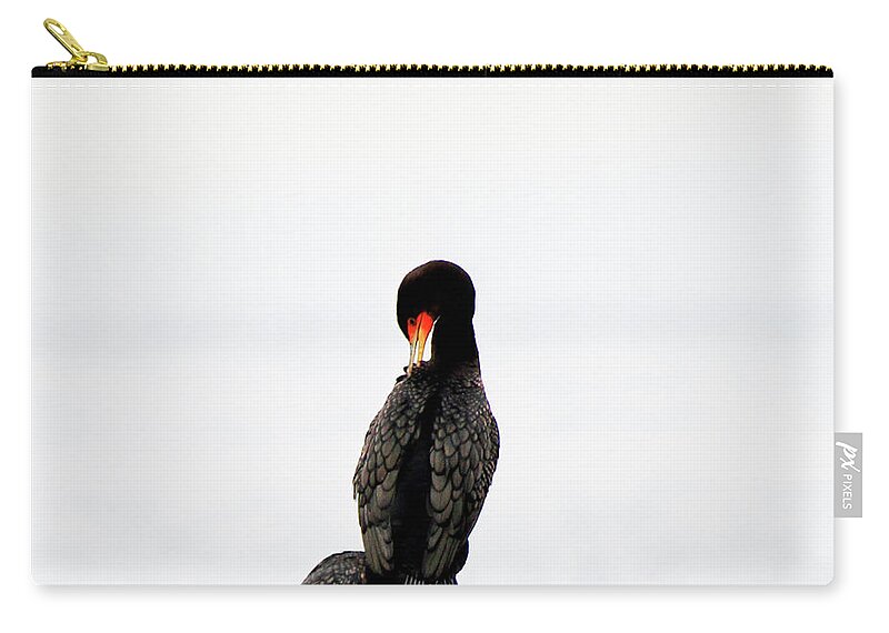 Cormorant Zip Pouch featuring the photograph Cormorant Grooming by Marie Jamieson