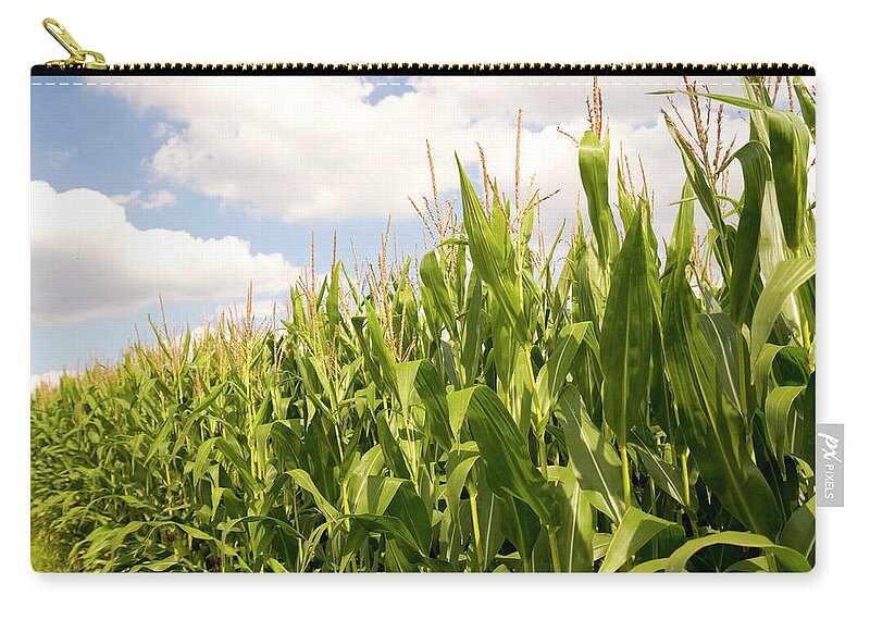 Scenics Zip Pouch featuring the photograph Corn Field Against Blue Cloudy Sky by Wicki58
