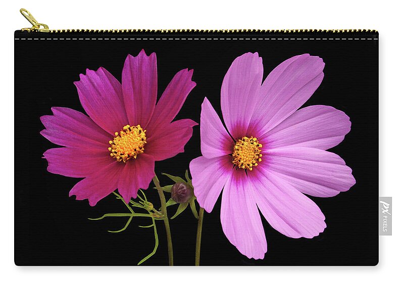 Cosmos Carry-all Pouch featuring the photograph Cosmos Duet by Terence Davis