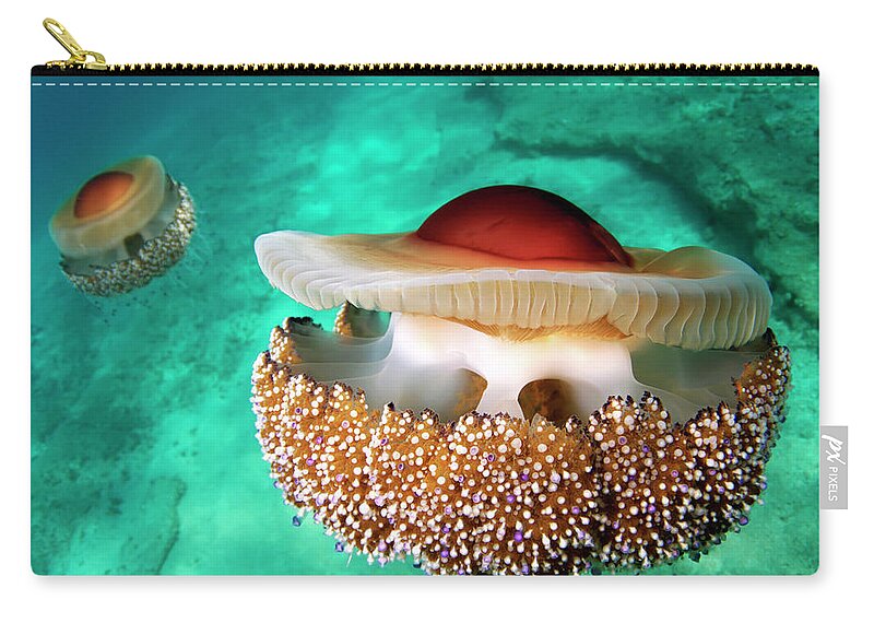Underwater Zip Pouch featuring the photograph Cotylorhiza Tuberculata by Underwater Photography By Ivan Bakardjiev