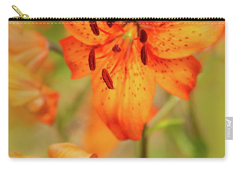 Gardens Zip Pouch featuring the photograph Could these be Tiger Babies? by Marilyn Cornwell