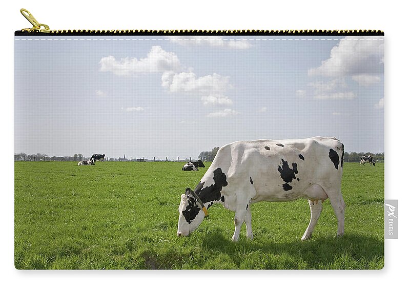 Grass Zip Pouch featuring the photograph Cow Eating Grass On Farm Land by Ebrink