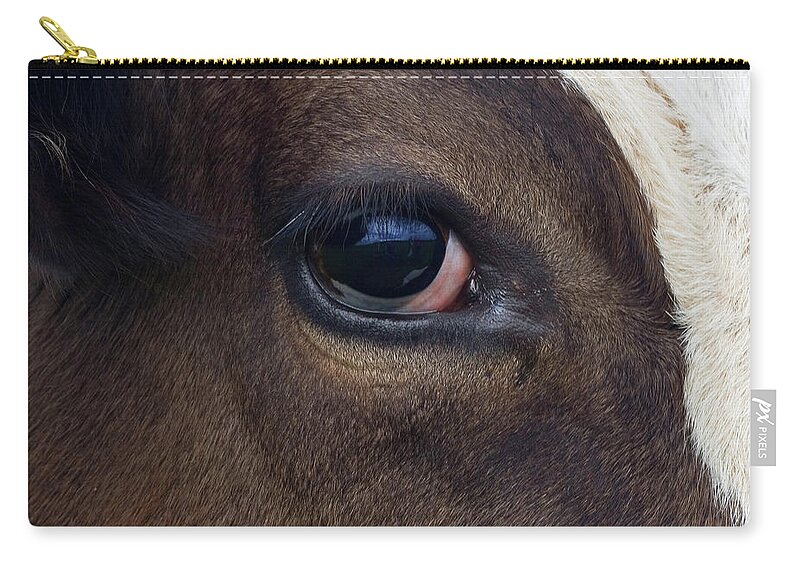 Domestic Animals Zip Pouch featuring the photograph Cow Eye by Agafon