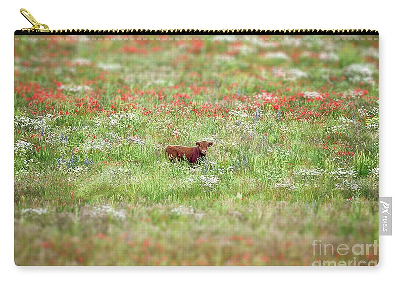Cow Zip Pouch featuring the photograph Cow in wild flower meadow by Simon Bratt