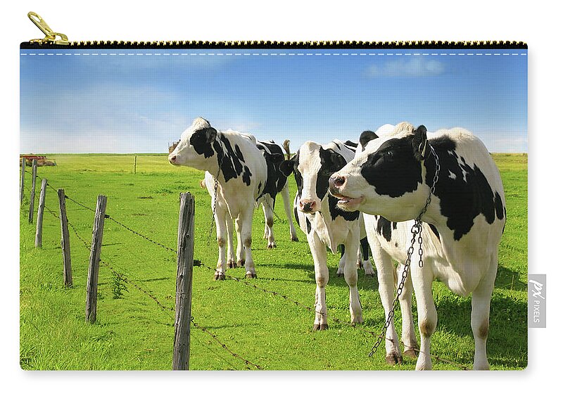 Grass Zip Pouch featuring the photograph Cow by Lisegagne