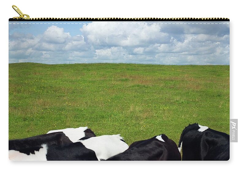 Cow Zip Pouch featuring the photograph Cows In A Pasture by Charlie Drevstam