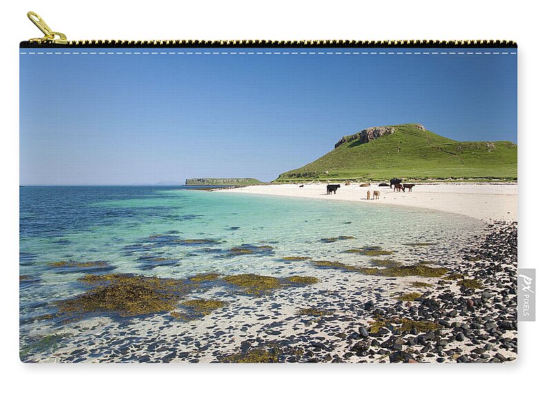 Scenics Zip Pouch featuring the photograph Cows On Coral Beach, Near Dunvegan by David C Tomlinson