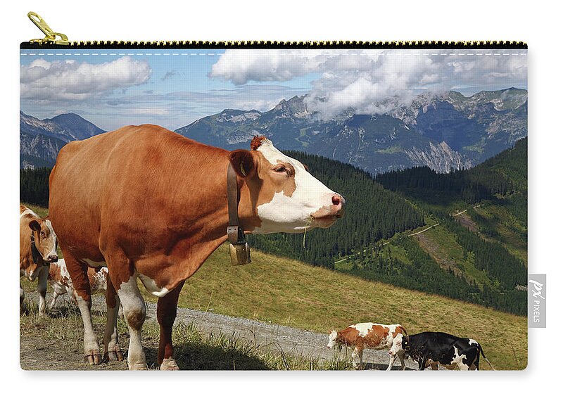 Scenics Zip Pouch featuring the photograph Cows With Bells Walking In The Alps On by Jaap2