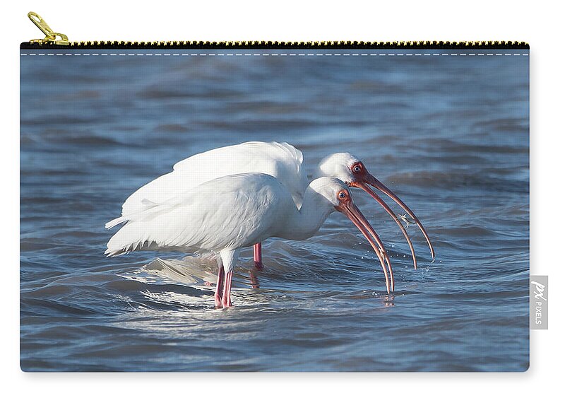 Ibis Zip Pouch featuring the photograph Crabbing Buddies by Patrick Nowotny