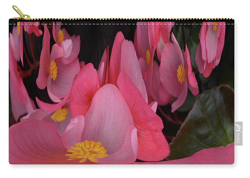 Begonia's Zip Pouch featuring the photograph Creation of Begonia's by Terence Davis