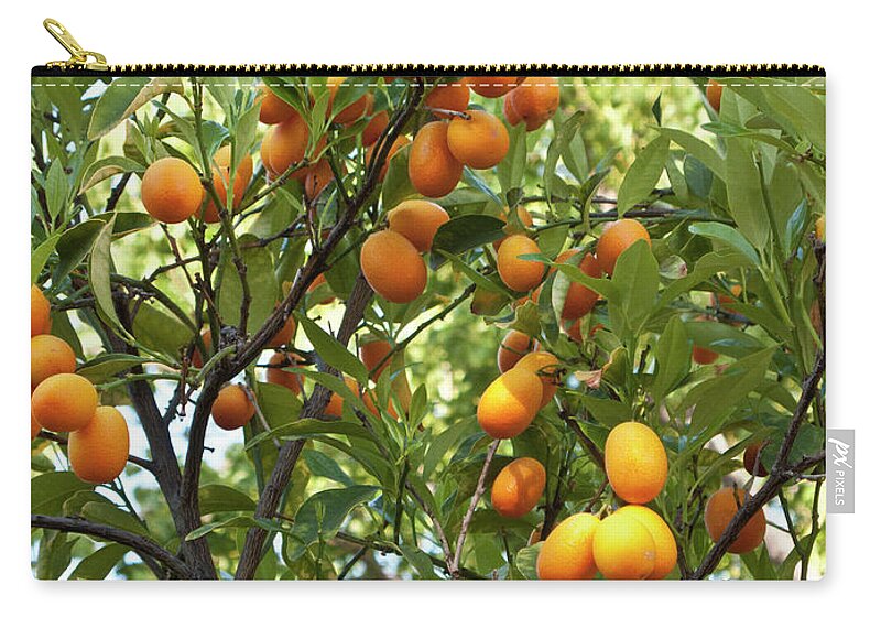 Outdoors Carry-all Pouch featuring the photograph Cumquats On A Tree by Bill Boch