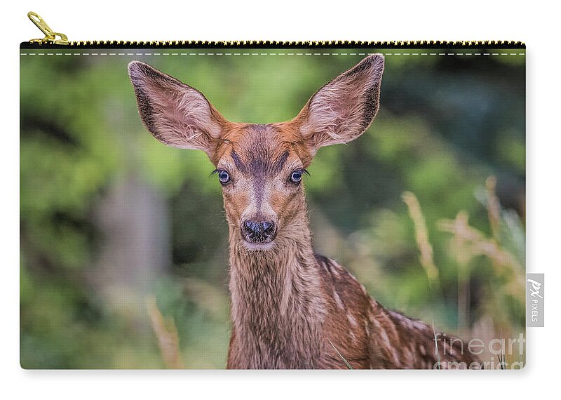 Fawn Zip Pouch featuring the photograph Curious Fawn by Melissa Lipton