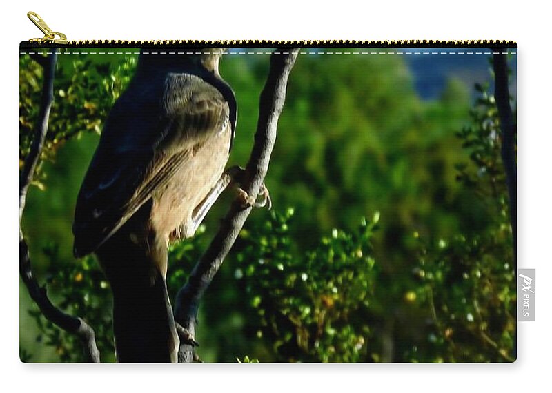 Affordable Zip Pouch featuring the photograph Curve-Billed Thrasher on Creosote by Judy Kennedy