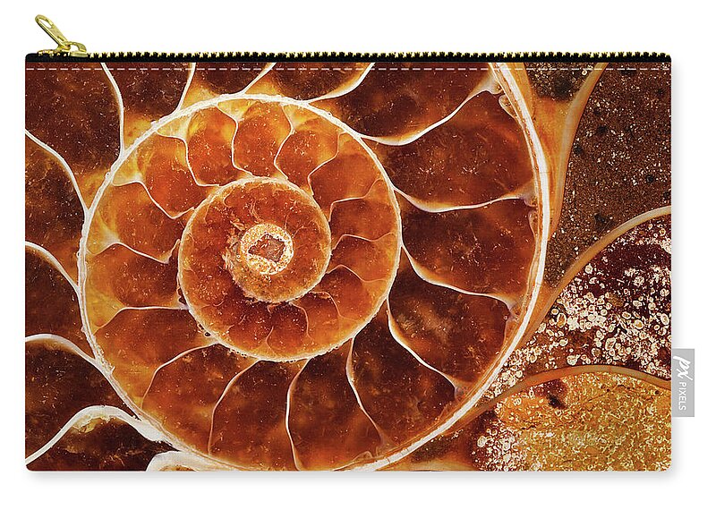 Orange Color Zip Pouch featuring the photograph Cut Of Fossil Nautilus Shell by Alice Cahill