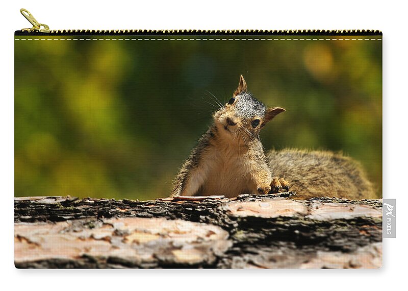 Confusion Zip Pouch featuring the photograph Cute Squirrel by Kativ