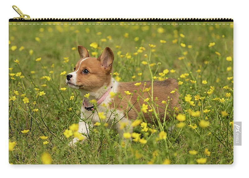 Daffodil Zip Pouch featuring the photograph Daffodil in Buttercups by Donna Twiford