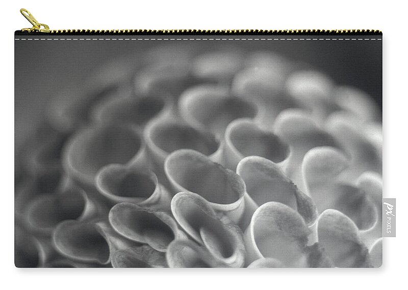 Close-up Zip Pouch featuring the photograph Dahlias by David Wasserman
