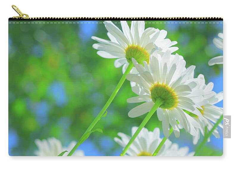 Outdoors Zip Pouch featuring the photograph Daisies In Sunlight by Poppy Thomas-hill