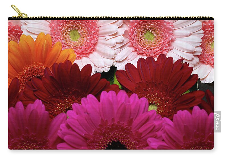 Large Group Of Objects Zip Pouch featuring the photograph Daisies by Lumina Imaging