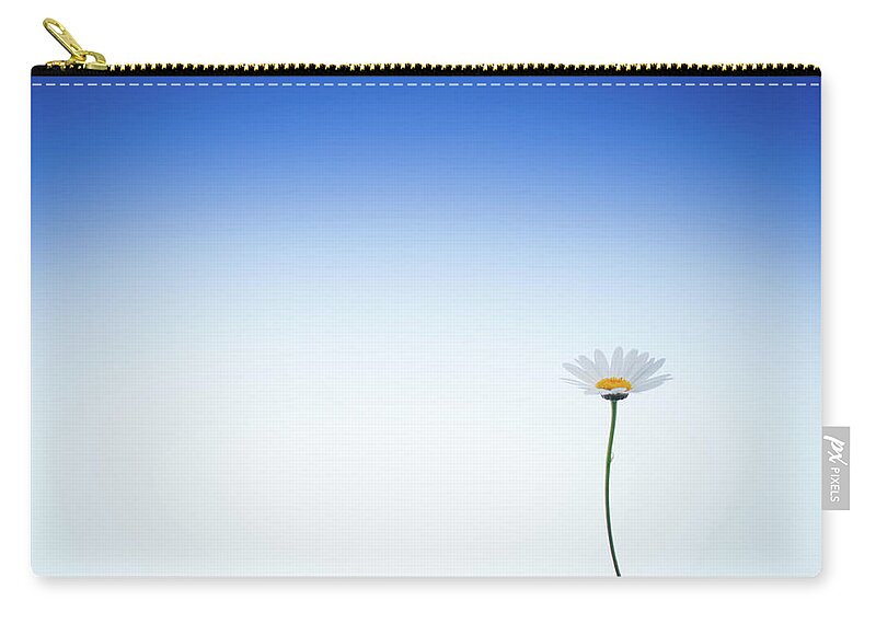 Clear Sky Zip Pouch featuring the photograph Daisy by Created By Tafari K. Stevenson-howard