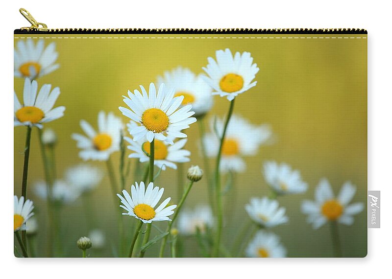 Grass Zip Pouch featuring the photograph Daisy Flower And Defocused Background by Konradlew
