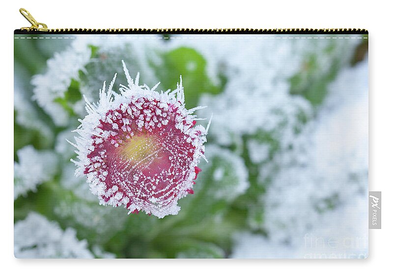 Frozen Zip Pouch featuring the photograph Daisy frozen in winter garden by Simon Bratt