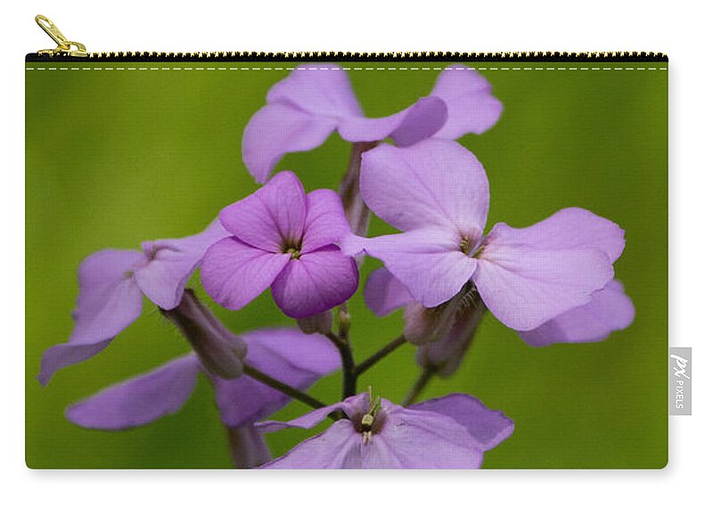Flora Carry-all Pouch featuring the photograph Dame's Rocket by Linda Bonaccorsi