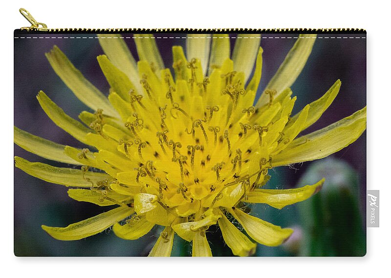 Flower Zip Pouch featuring the photograph Dancing at the Floral Ball by Ivars Vilums
