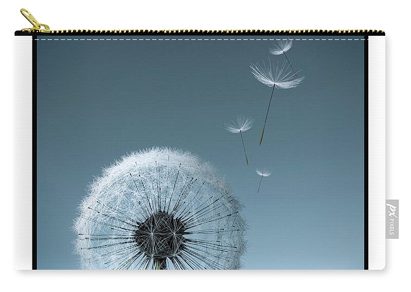 Tranquility Zip Pouch featuring the photograph Dandelion Gone To Seed, Some Seeds Fly by Artpartner-images