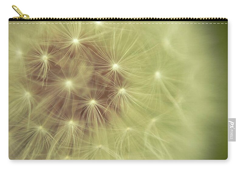 Single Flower Zip Pouch featuring the photograph Dandelion by Image By Lisa Bunag