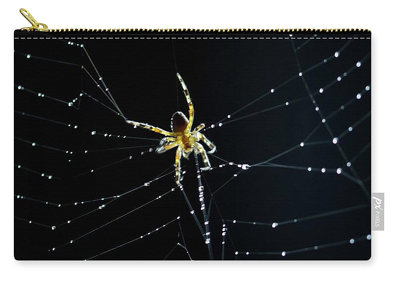 Spider Zip Pouch featuring the photograph Dark Kitchen by Terri Hart-Ellis