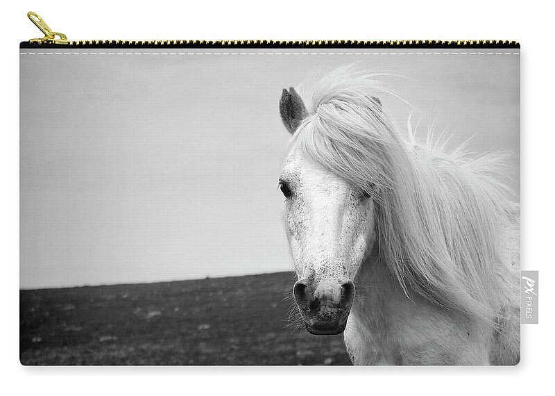 Horse Zip Pouch featuring the photograph Dartmoor Pony by Adam Hirons Photography
