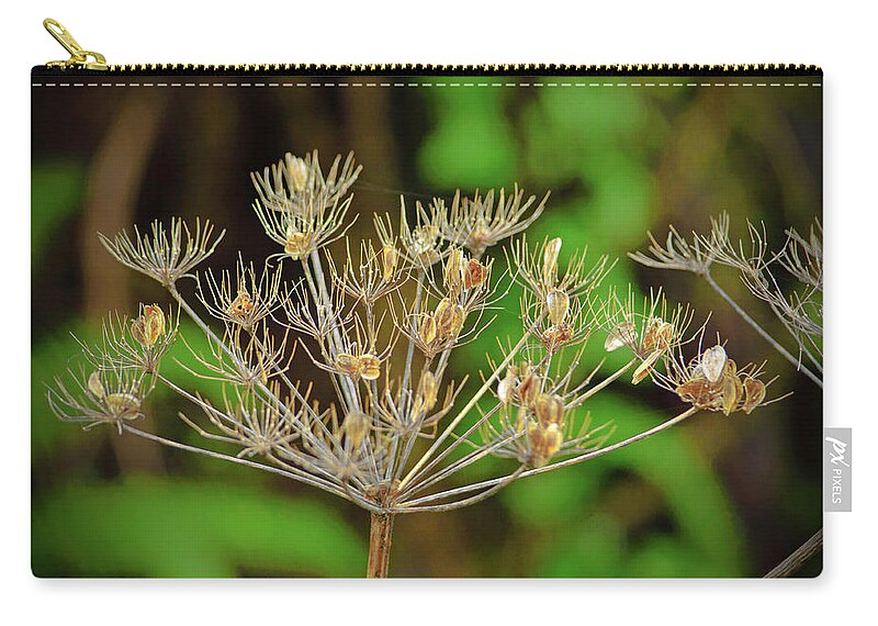 Plant Zip Pouch featuring the photograph Dead Hemlock Flower and Seeds by Tikvah's Hope