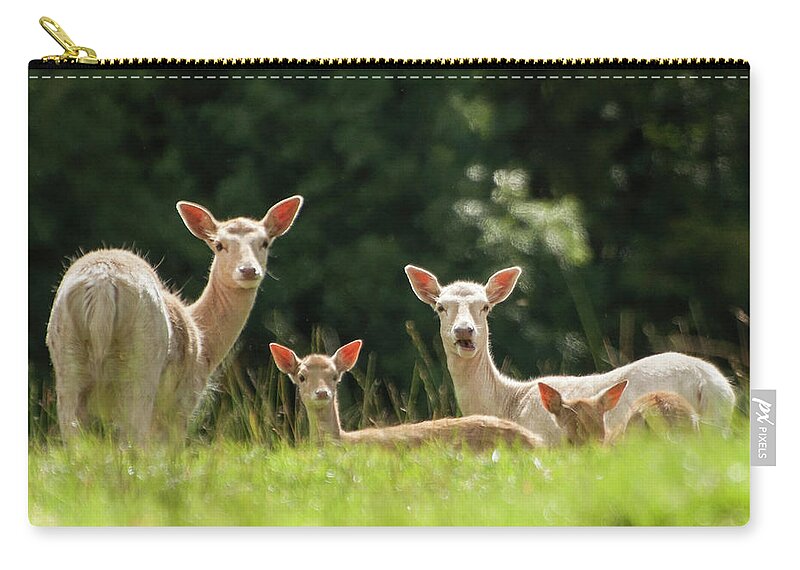 Grass Zip Pouch featuring the photograph Deer by ©malachy Coney