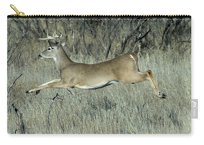 Male Animal Zip Pouch featuring the photograph Deer On The Run by Judilen