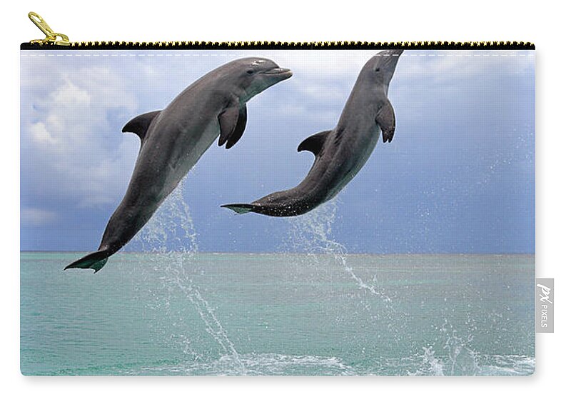 Bay Islands Zip Pouch featuring the photograph Delfin Grosser Tuemmler by Tier Und Naturfotografie J Und C Sohns