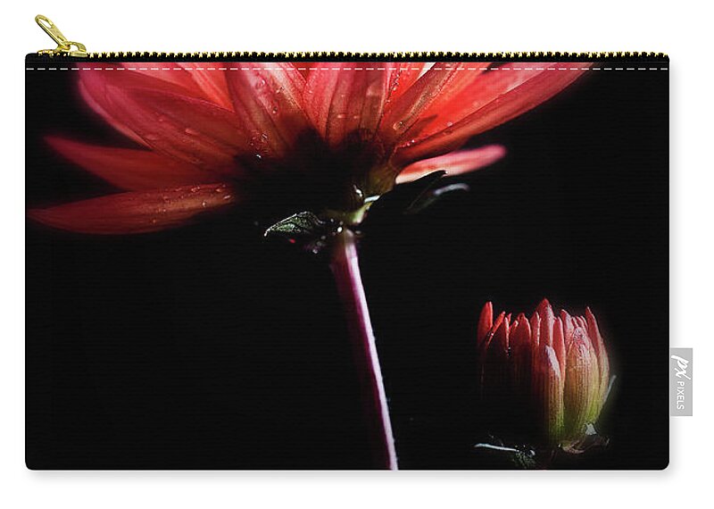 Bud Zip Pouch featuring the photograph Delicate Flowers by Lauren Metcalfe