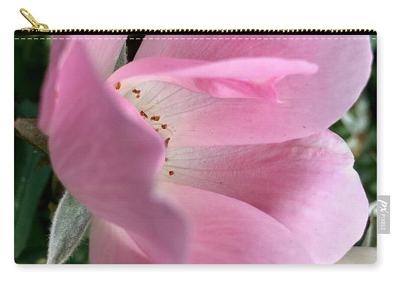 Flower Zip Pouch featuring the photograph Delicate Pink by Eunice Warfel