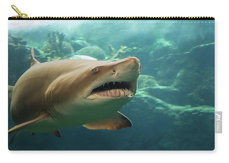 Shark Zip Pouch featuring the photograph Denizen Of The Deep by Larry Linton