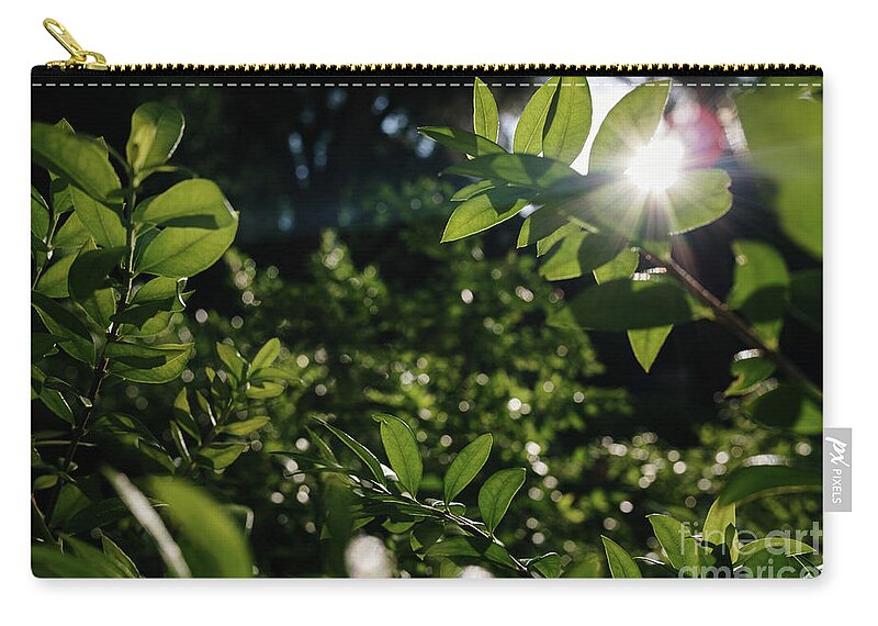Abstract Zip Pouch featuring the photograph Dense foliage of green leaves illuminated by the sun, background by Joaquin Corbalan