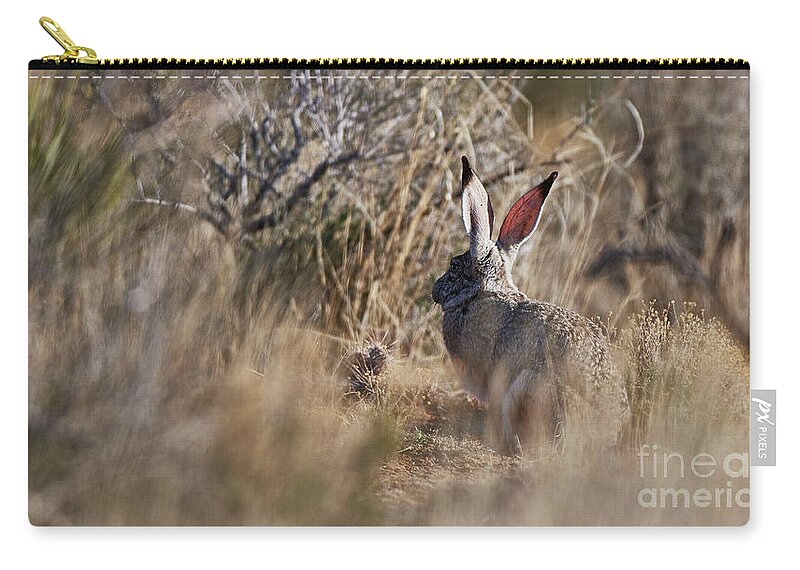 Desert Rabbit Zip Pouch featuring the photograph Desert Hare by Robert WK Clark