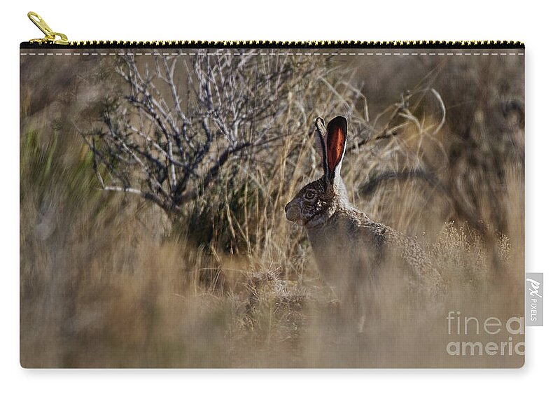Desert Rabbit Zip Pouch featuring the photograph Desert Rabbit by Robert WK Clark