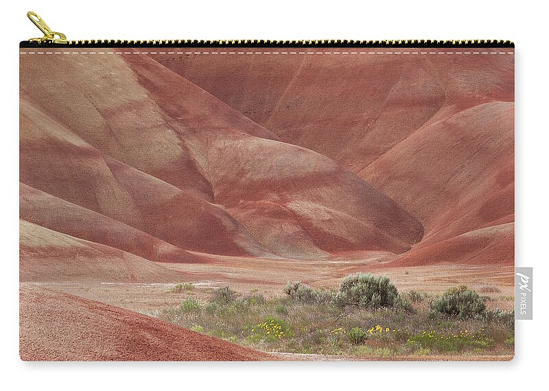 Geology Zip Pouch featuring the photograph Desert Vegetation In Valley Of Rust by Michael Rainwater
