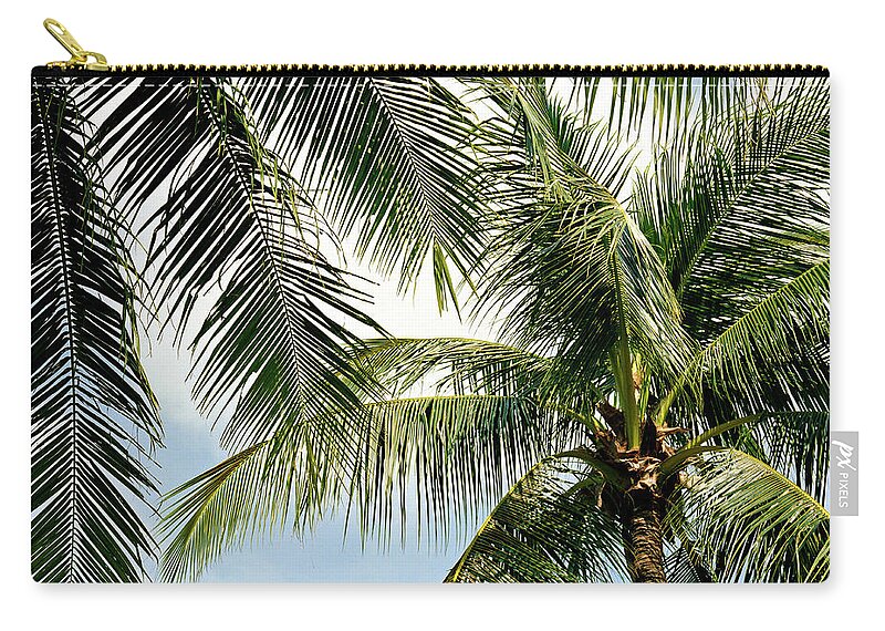 Tranquility Zip Pouch featuring the photograph Detail Of Palm Trees Palma, Looking Up by Jon Shireman