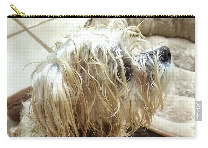 Dog Zip Pouch featuring the photograph Dirty Dog by Lois Bryan