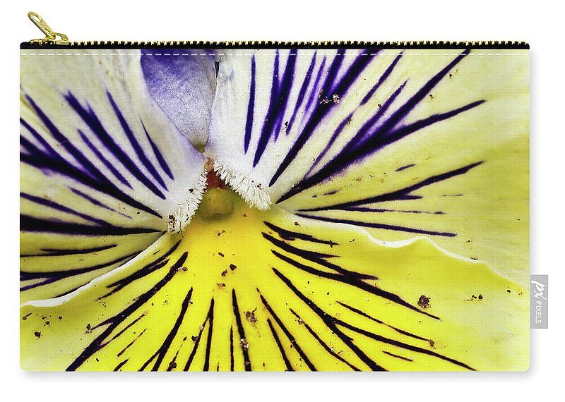 Petal Zip Pouch featuring the photograph Dirty Pansy by Jennifer Smith