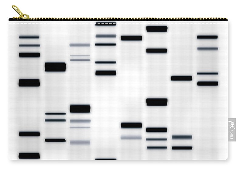 Dna Art Zip Pouch featuring the digital art DNA Art Black on White by Michael Tompsett