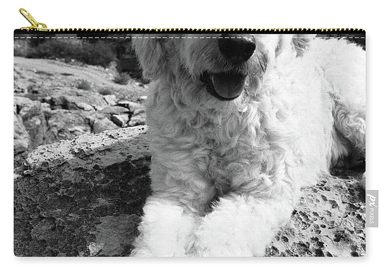 Wind Zip Pouch featuring the photograph Dog Sitting On Rocks, Portrait by Henry Horenstein