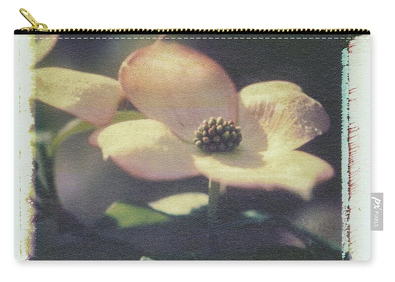 Abstract Zip Pouch featuring the photograph Dogwood 1 by Joye Ardyn Durham